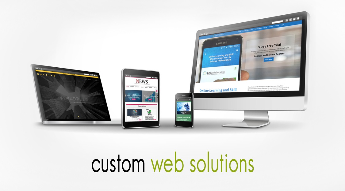 Should Start-ups Opt for Custom Web Solutions Rather Than Open Source Platforms?